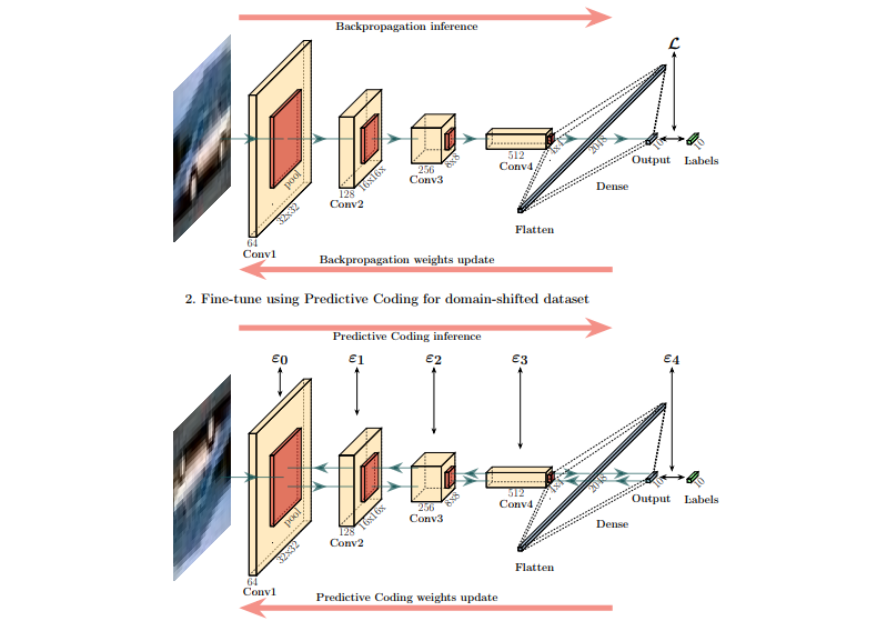 Predictive Coding Fine-tuning Enables Computationally Efficient Domain Adaptation for Deep Neural Networks