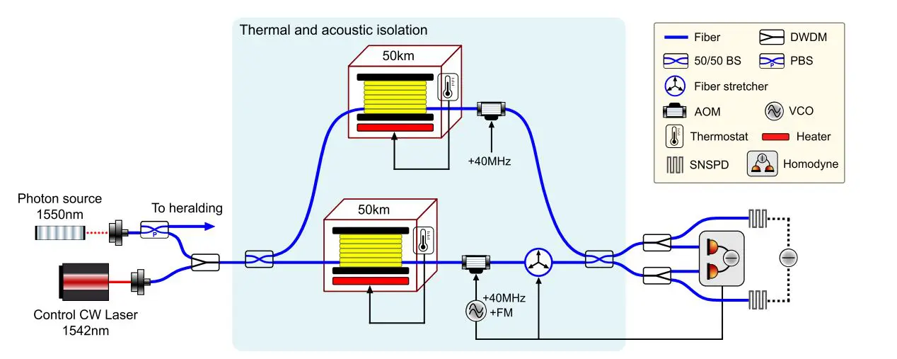 50-km Fiber Interferometer Achieves rad Root-Mean-Square Phase Sensitivity at 0.01 Hz, Resolving Gravity-Induced Signals