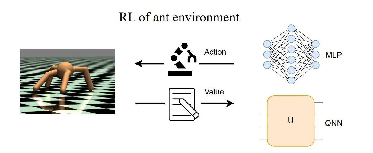 Quantum Learning Intrinsically Preserves Plasticity over Long Timescales, Maintaining Consistent Capabilities across Diverse Data Modalities