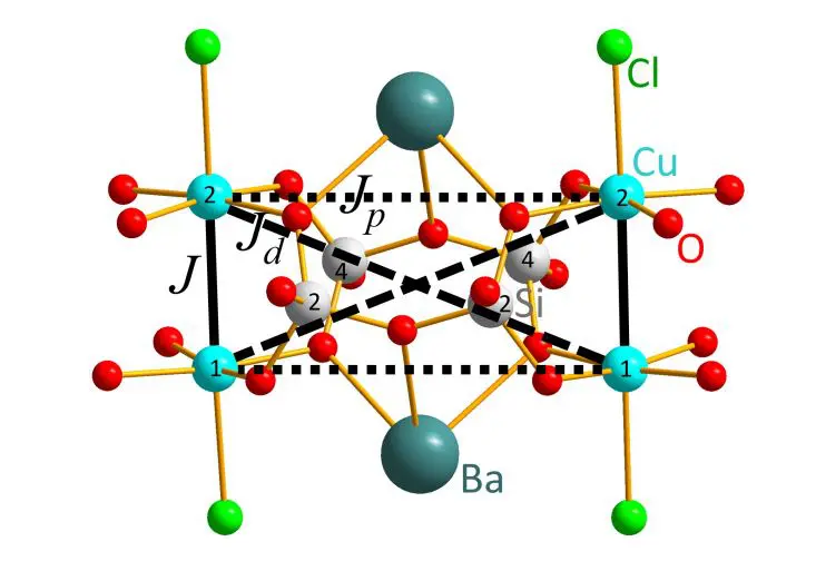 Bacusi OCl Spin Dynamics Reveal BKT Transition Temperature Via QMC and NMR Measurements