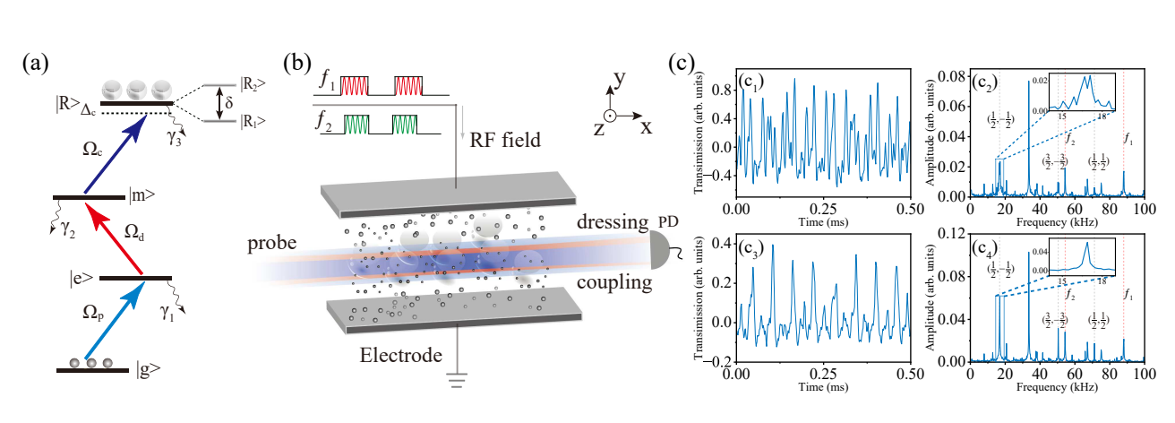 Rydberg Atomic Gases Exhibit Discrete Time Quasicrystal Order with Non-Equilibrium Dynamical Response