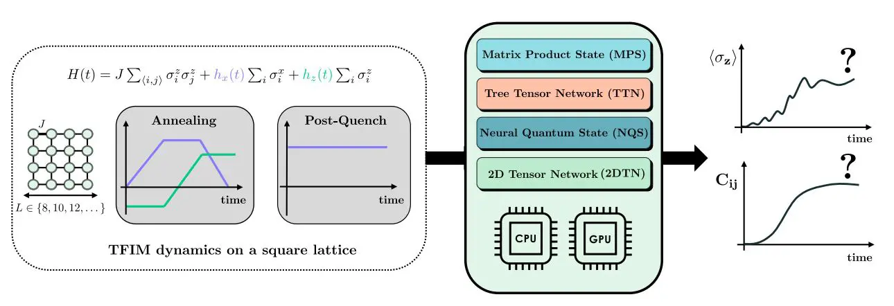 Classical Simulation of Two-Dimensional Transverse-Field Ising Model Advances Quantum Dynamics Understanding