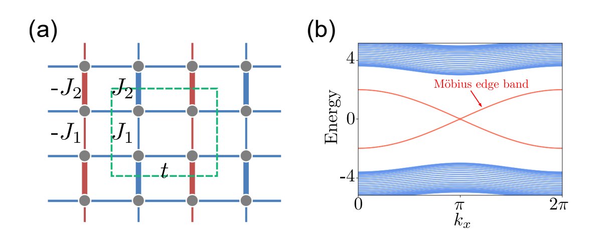 Projective Crystal Symmetry Reveals Topological Phases and Momentum-space Nonsymmorphic Symmetry