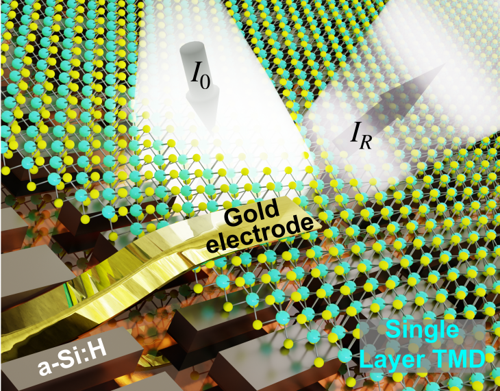 Tunable Resonant Metasurfaces with Atomically Thin Semiconductors Enhance Light-Matter Interaction