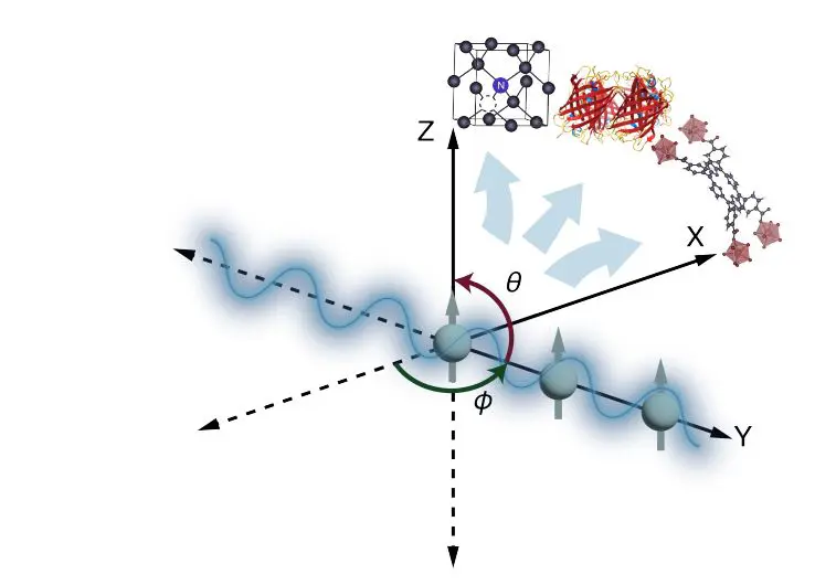 Entanglement Witnesses of Condensation Enhance Quantum Sensing with Amplified Transitions in Spin Qubits