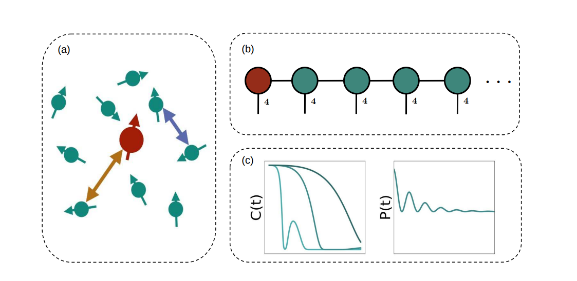 Numerically Exact Quantum Dynamics with Tensor Networks Predicts Decoherence in Interacting Spin Systems