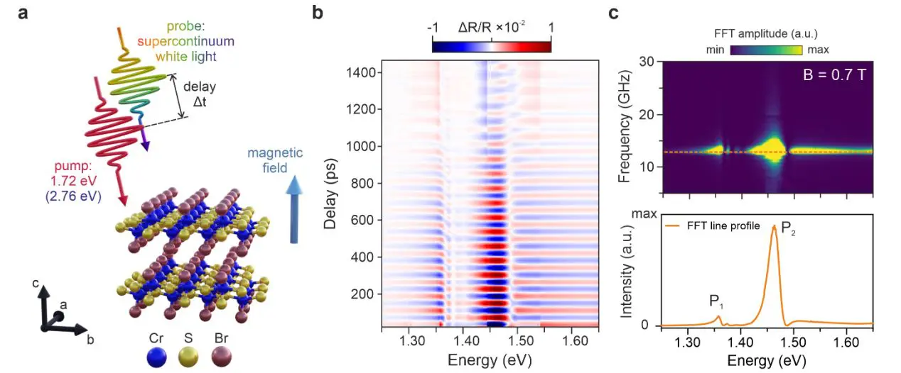 Magnetic Order Unlocks Optical Access to 1.46 eV Dark Excitons and Enables Control of Hybrid Dispersion in CrSBr