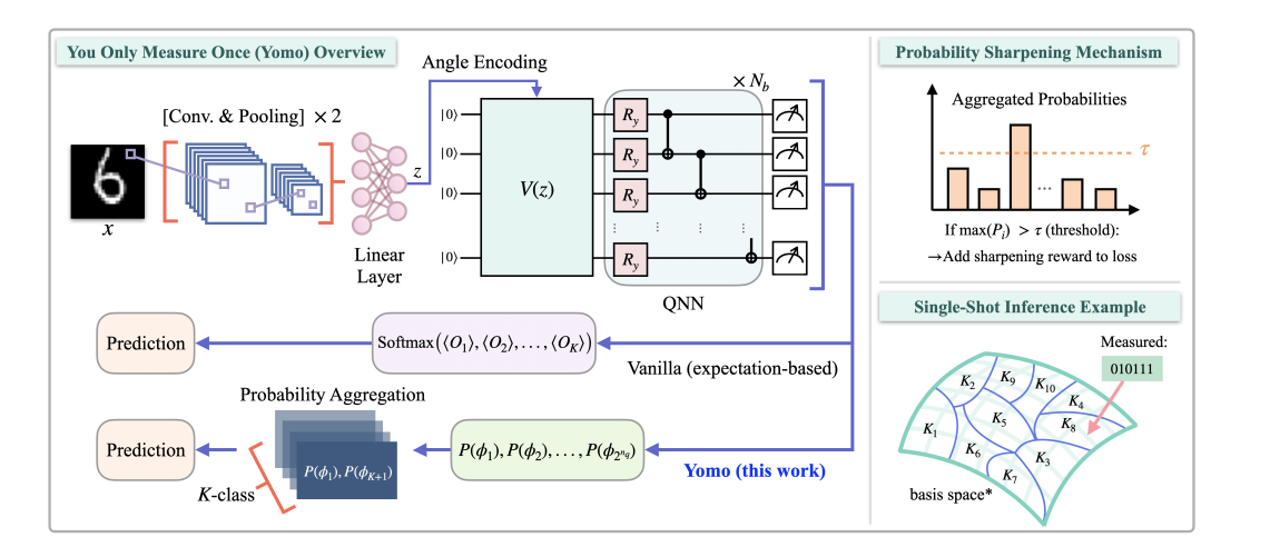 Single-shot Quantum Machine Learning Achieves Accurate Inference with Dramatically Fewer Measurements
