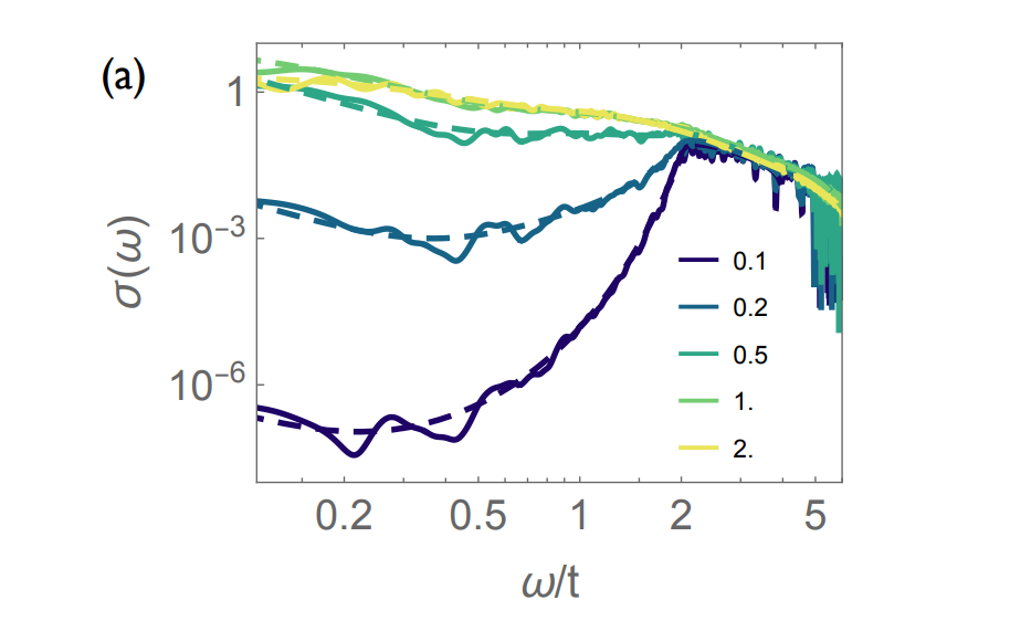 Inelastic Scattering Reveals Transient Localization from Coupling to Two-level Systems, Impacting Charge Transport