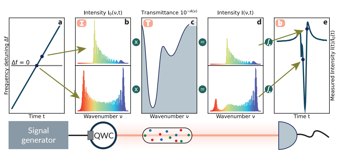 Quantum Walk Combs Enable Fast, Compact Spectroscopy Without Moving Components for Targeted Analysis of Organic Solvent Vapours