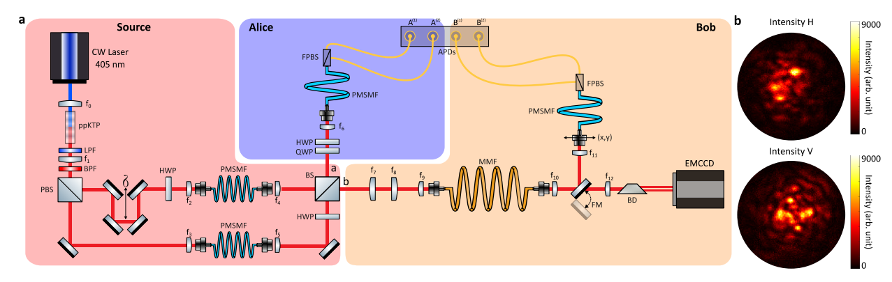 Harnessing Optical Disorder Violates Bell Inequalities, Certifying Entanglement through Speckle Patterns