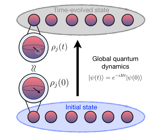 Pxp Model Demonstrates Robust Local Reminiscence with Near Unity Fidelity in Rydberg Atom Arrays