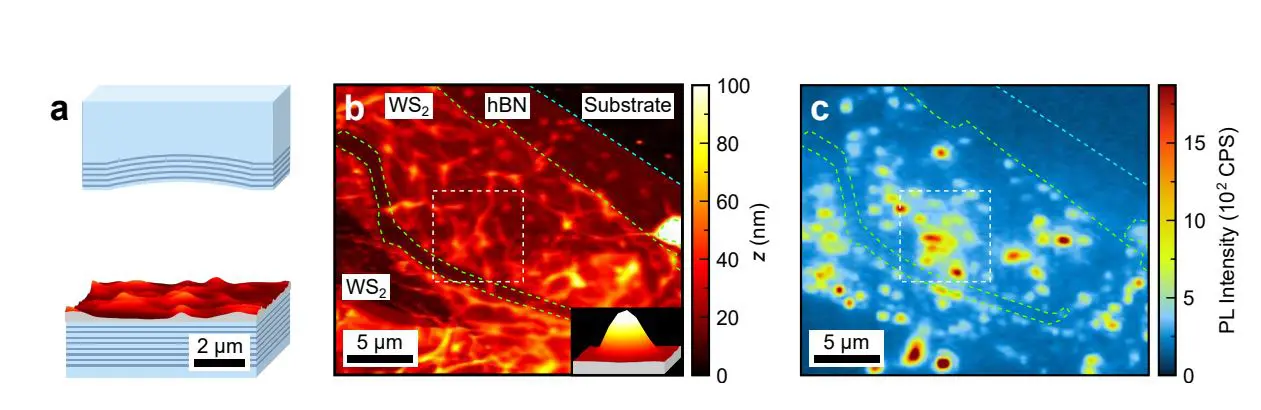 Tunable WS Micro-Dome Cavity Source Achieves 0.3 Second-Order Correlation for Single Photons