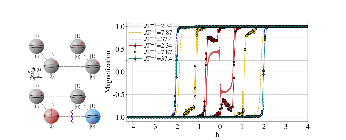 Quantum Annealer Hysteresis Explained by Landau-Zener Transitions and Domain-Wall Kinetics