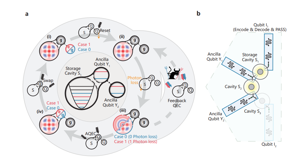 Extending Coherence Time Beyond Break-even Using Drives and Dissipation Achieves 1.04x Logical Qubit Lifetime Improvement