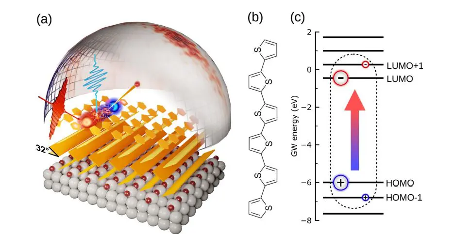Scientists Observe Exciton Wave Function Evolution in Organic Semiconductors across Three Molecular Units