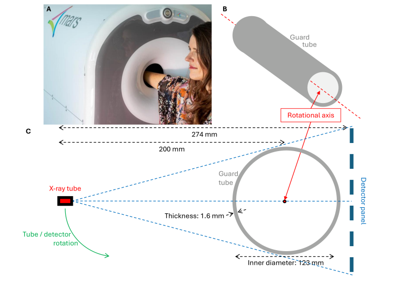 Forearm Photon-Counting CT with Spectral Shaping Reduces Organ Dose, Enabling Patient-Specific Evaluations