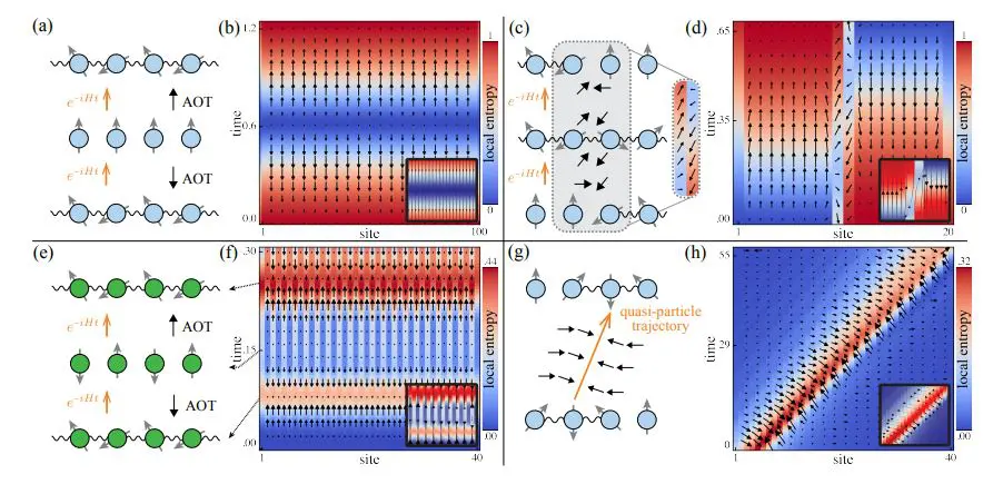 Quantum Many-Body Systems Exhibit Local Arrows of Time Differing from Global Time In, Systems