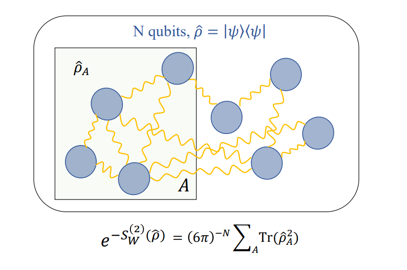 Wehrl-rényi Entropy Directly Relates to Many-Body Entanglement Purity across All Subsystems