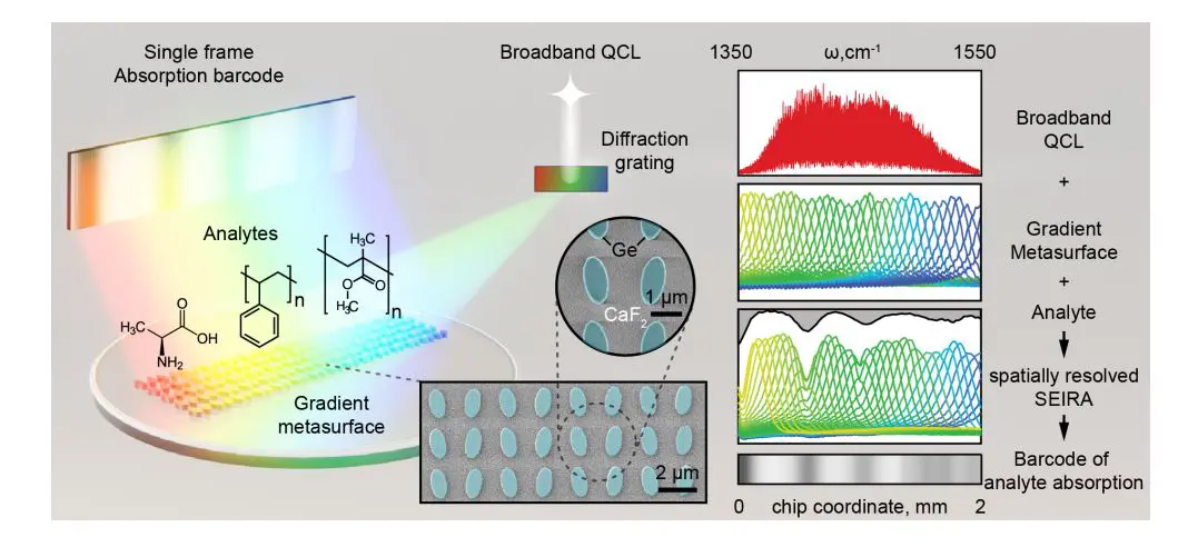 Metasurface-enhanced Mid-Infrared Imaging Spectroscopy Enables High-Throughput Molecular Detection