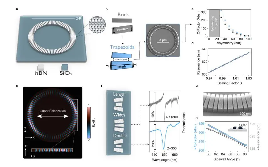 2d Material Metasurface Achieves Compact, Polarization-Invariant Light Control Within 8x8 Μm Footprint