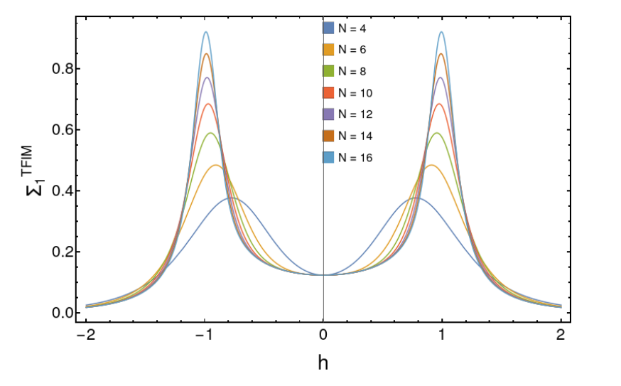 Quantum Criticality Revealed: Metric Response of Relative Entropy Diverges at Critical Points in Spin Chains