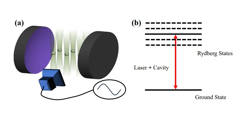 Quantum Phase Transitions in Driven Rydberg Arrays Demonstrate Tunable Anisotropy and Scaling Laws