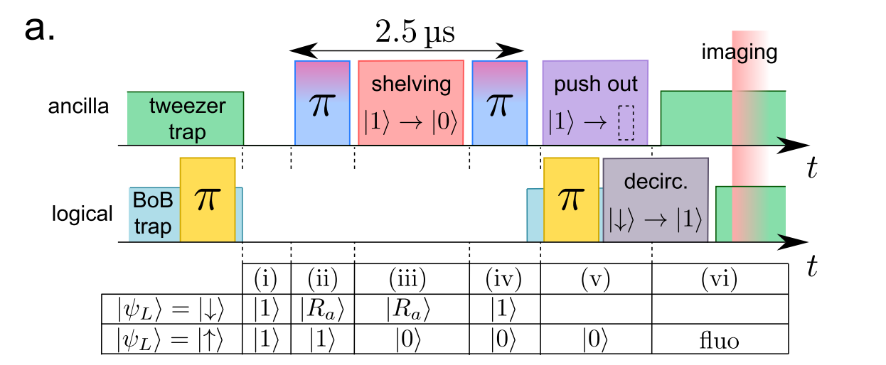 Quantum Platform Enables Non-Destructive Read-Out and Manipulation of Circular Rydberg Atoms