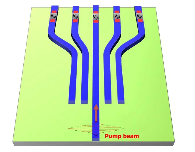 NbCl Exhibits Seventh-order Nonlinearities, Enhancing On-chip Multiphoton Entangled States by 5–9 Orders of Magnitude