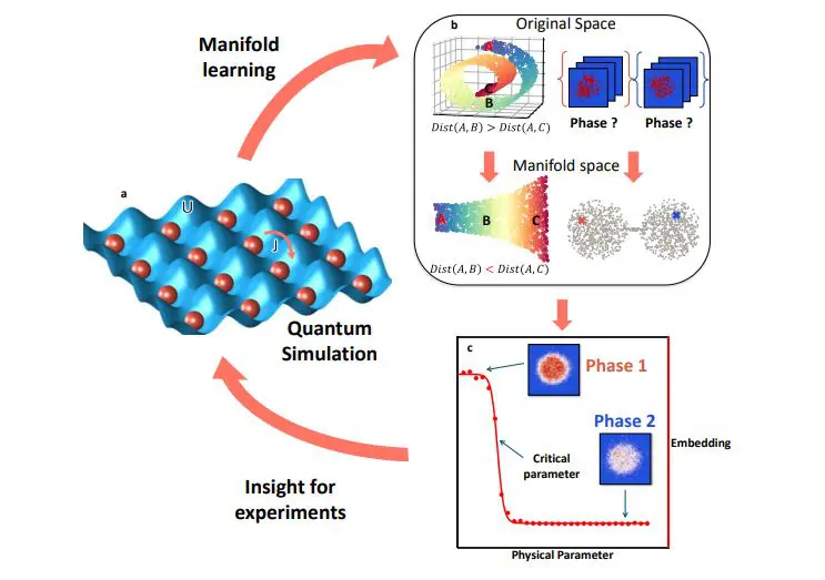 Unsupervised Machine Learning Detects Quantum-Many-Body Phase Transitions Despite Limited Observables