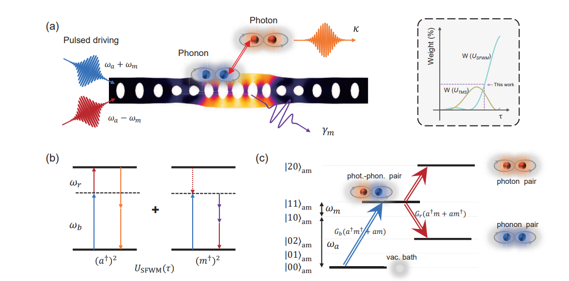 Quantum-correlated Phonon Pair Generation Advances Solid-State Quantum Devices and Hybrid Networks