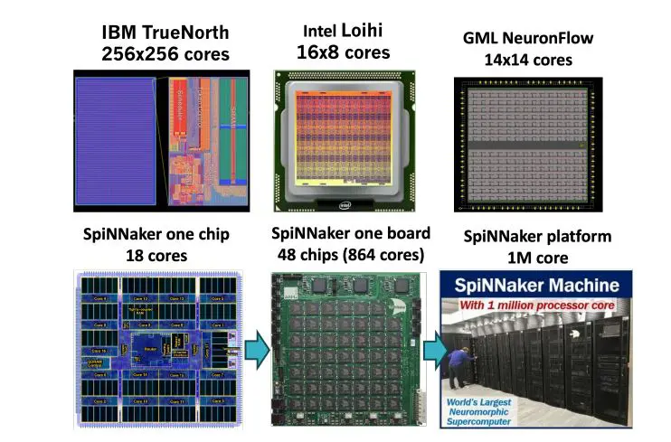 Risc-v Cores and Neuromorphic Arrays Enable Scalable Digital Processors for EdgeAI Applications