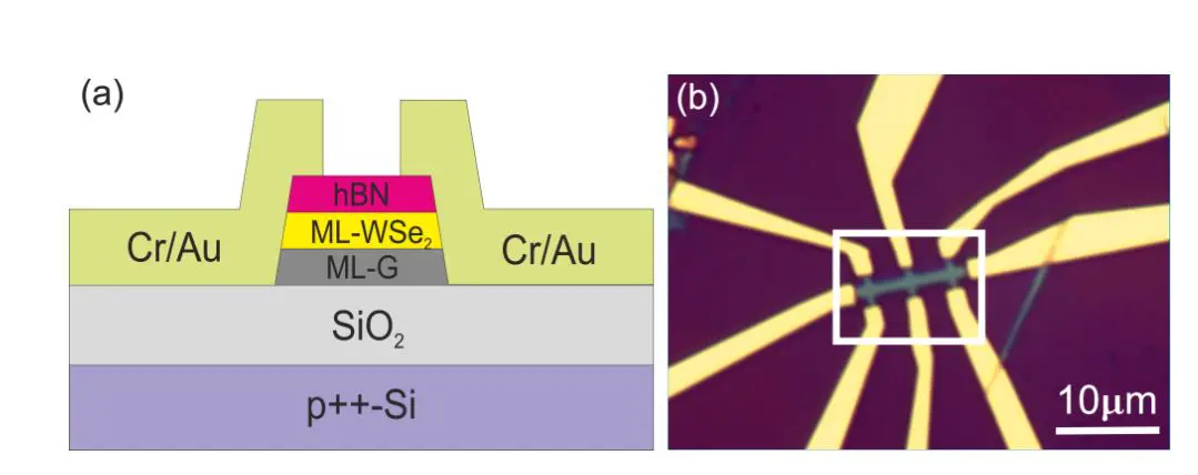 Graphene/wse₂ Heterostructures Demonstrate Tunable Spin-Orbit Coupling with Rasbha and Valley-Zeeman Effects