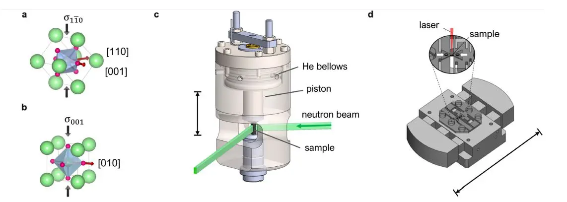 Uniaxial Strain Tunes Polar Lattice Vibrations in KTaO and SrTiO, Revealing First-Order Phase Transition