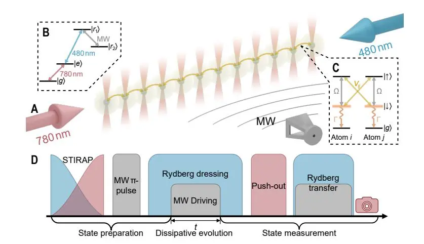 Rydberg-atom Array Observation Reveals Non-Hermitian Phase Transition and -Blockade Effect