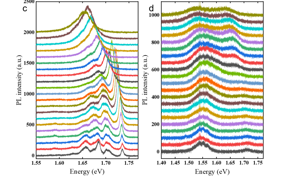Quantum Optics Demonstration in Few-Layer WSe2 Semiconductors Validates Quantum Rabi Model Predictions