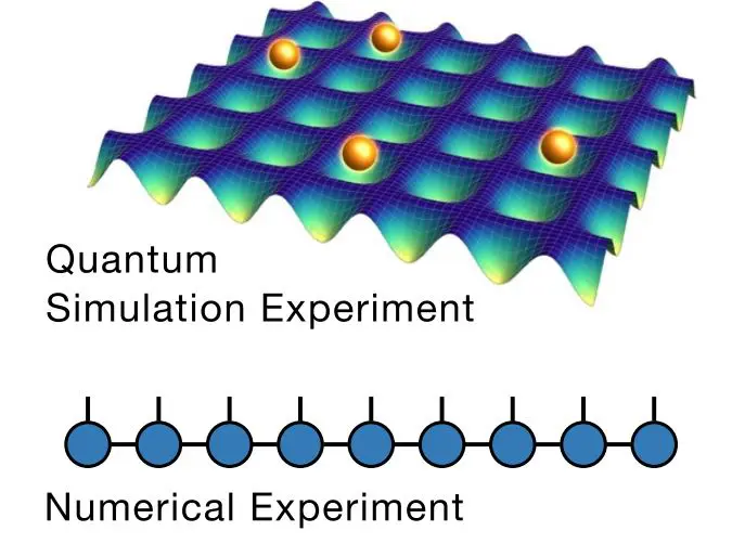 Quantum Matter Classification Via Network Theory Links Wave Function Snapshots to Collective Properties