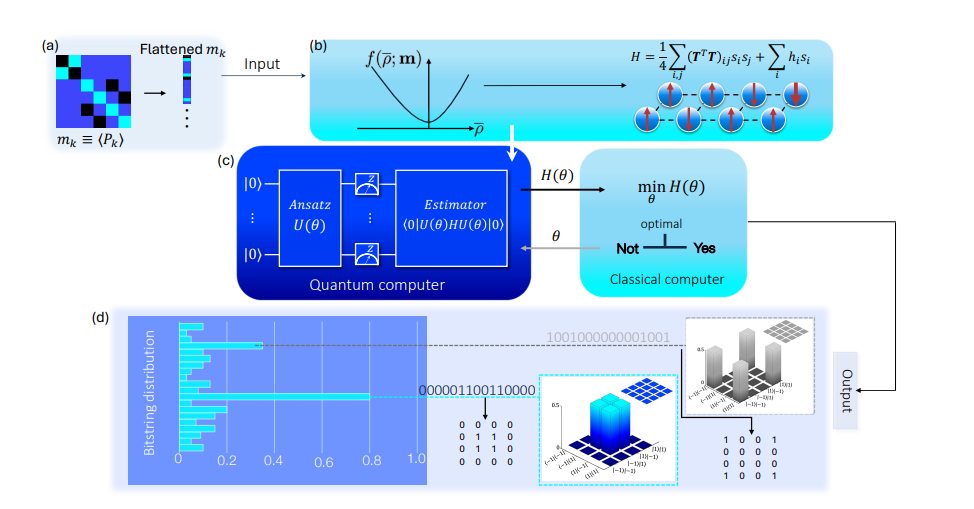 Quantum Computer Reconstructs Structured Light States, Enabling Efficient Tomography on Noisy Devices