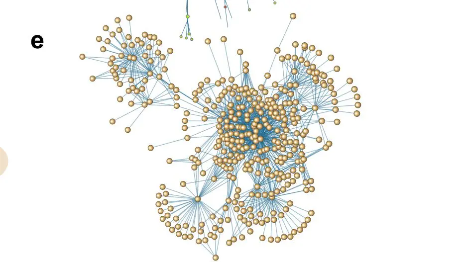 Evolutionary Ecology of Software Reveals How Constraints and Innovation Drive Complex System Trajectories