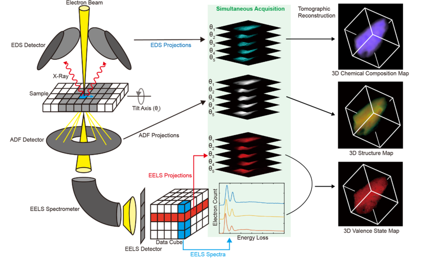 Correlative ADF-EDS-EELS Tomography Maps 3D Valence State Dynamics in LiNi1/3Co1/3Mn1/3O2 Battery Cathodes