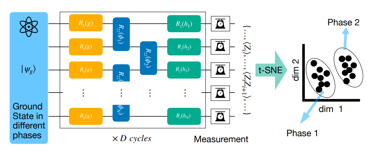 Quantum Reservoir Enables Unsupervised Detection of Topological Phase Transitions Without Complex Measurements