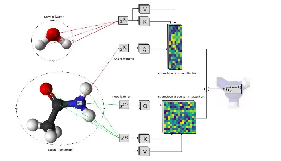 Solvaformer: Graph Transformer Predicts Small Molecule Solubility with Geometry-Aware SE(3) Equivariance