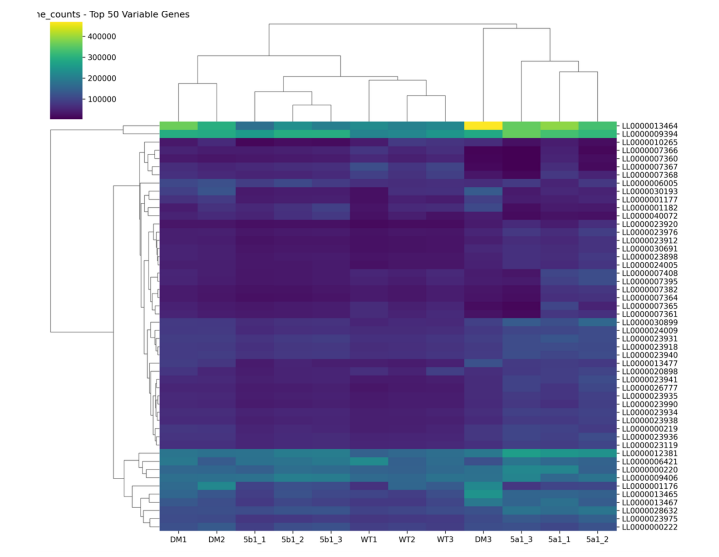 Deep Learning Pipeline with GPT-2 XL and H100 GPUs Analyzes Epilepsy Genomics in 50 Million People