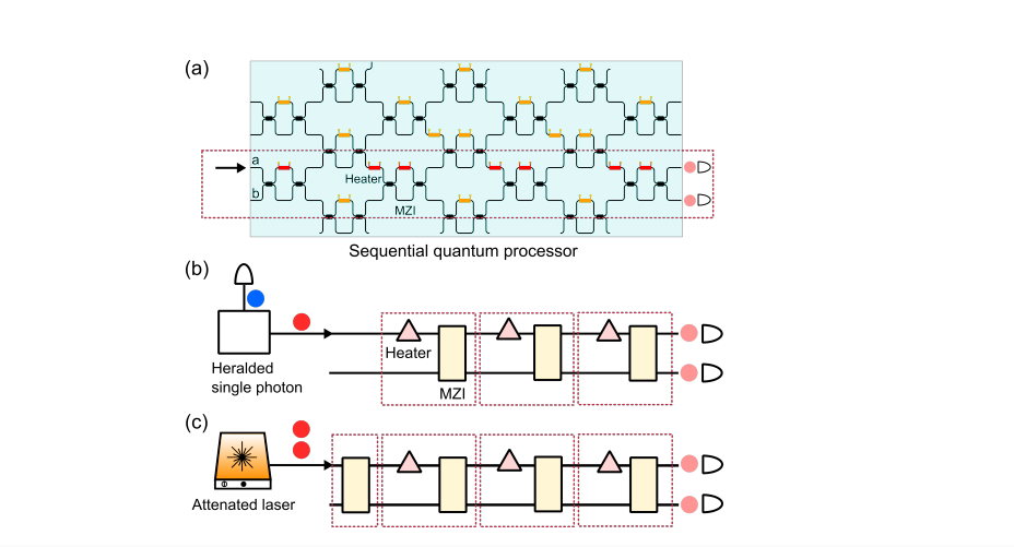 Quantum Processors with Three or Four Modules Demonstrate Advantage, Violating Classical Correlation Limits