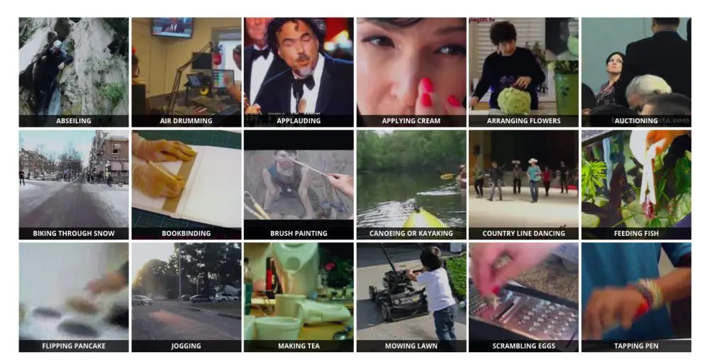 Adaptive Fusion of Multimodal Deep Networks Achieves Robust Human Action Recognition