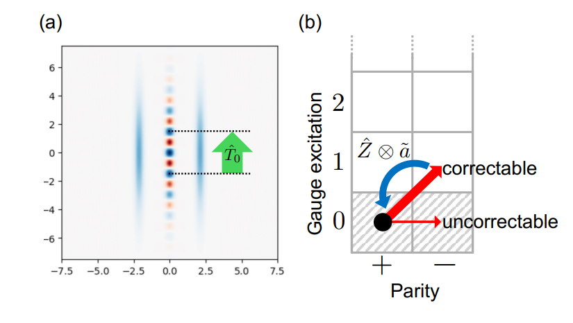 Squeezed Cat Qubits Exploit Translational Symmetry for Robust Quantum Error Correction and Logical Operations