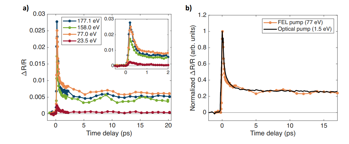 Cuprate Superconductor Dynamics: Ultrafast Excitations Relax Via 100, 300 Fs and 1, 5ps Channels