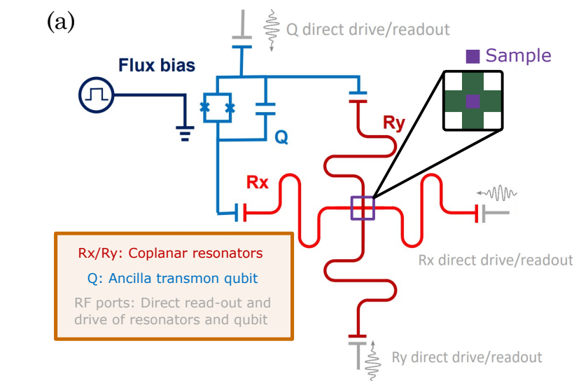 Qubit-based Device Passively Detects Schwinger Boson Dynamics and Enables Contactless Material Spectroscopy