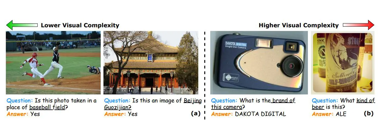 Token Pruning in VLLMs Achieves 50% Cost Reduction, yet Degrades Beyond Layer 20 with 96.9% Information Loss