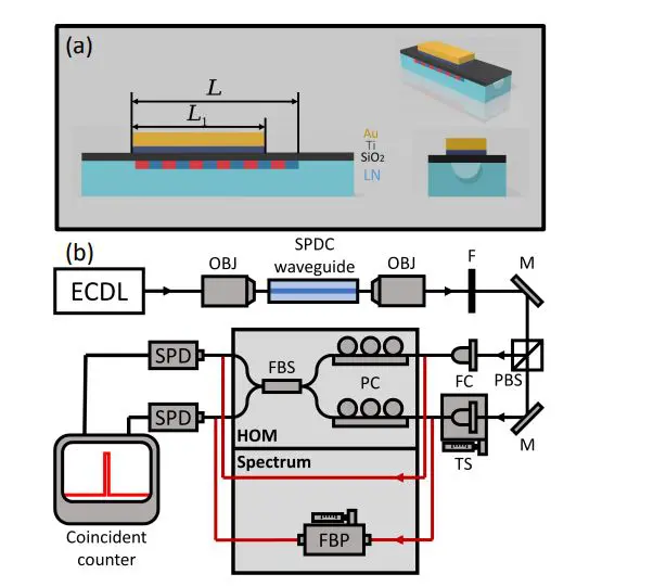 Langevin Regime Optical Parametric Down-Conversion Demonstrates Single-Photon Compression by Nearly One Order of Magnitude